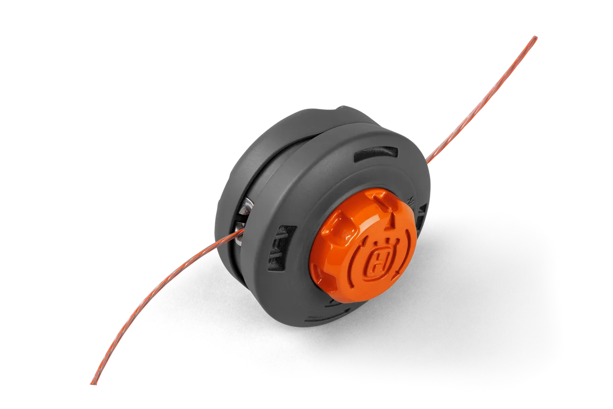 fo-716133.webp (80 KB)